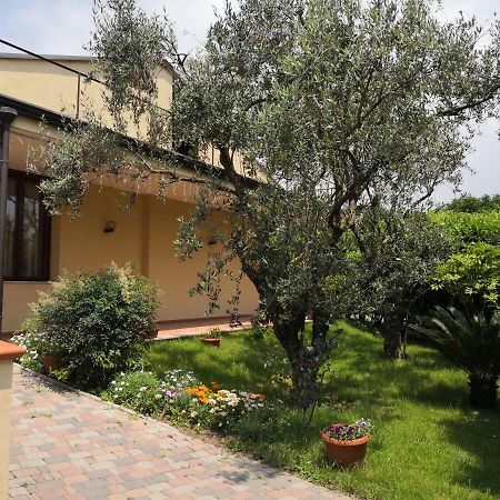 B&B D'Avino Пагани Экстерьер фото