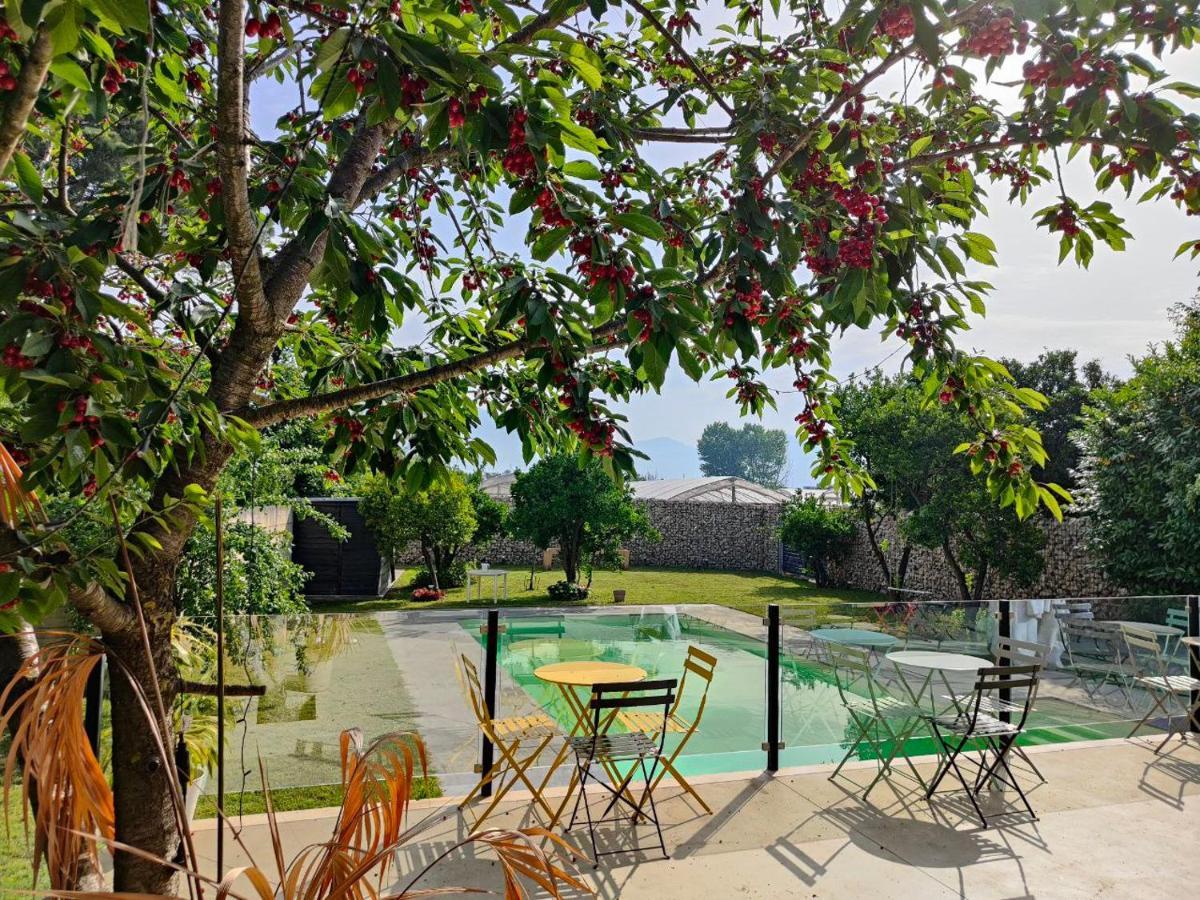 B&B D'Avino Пагани Экстерьер фото