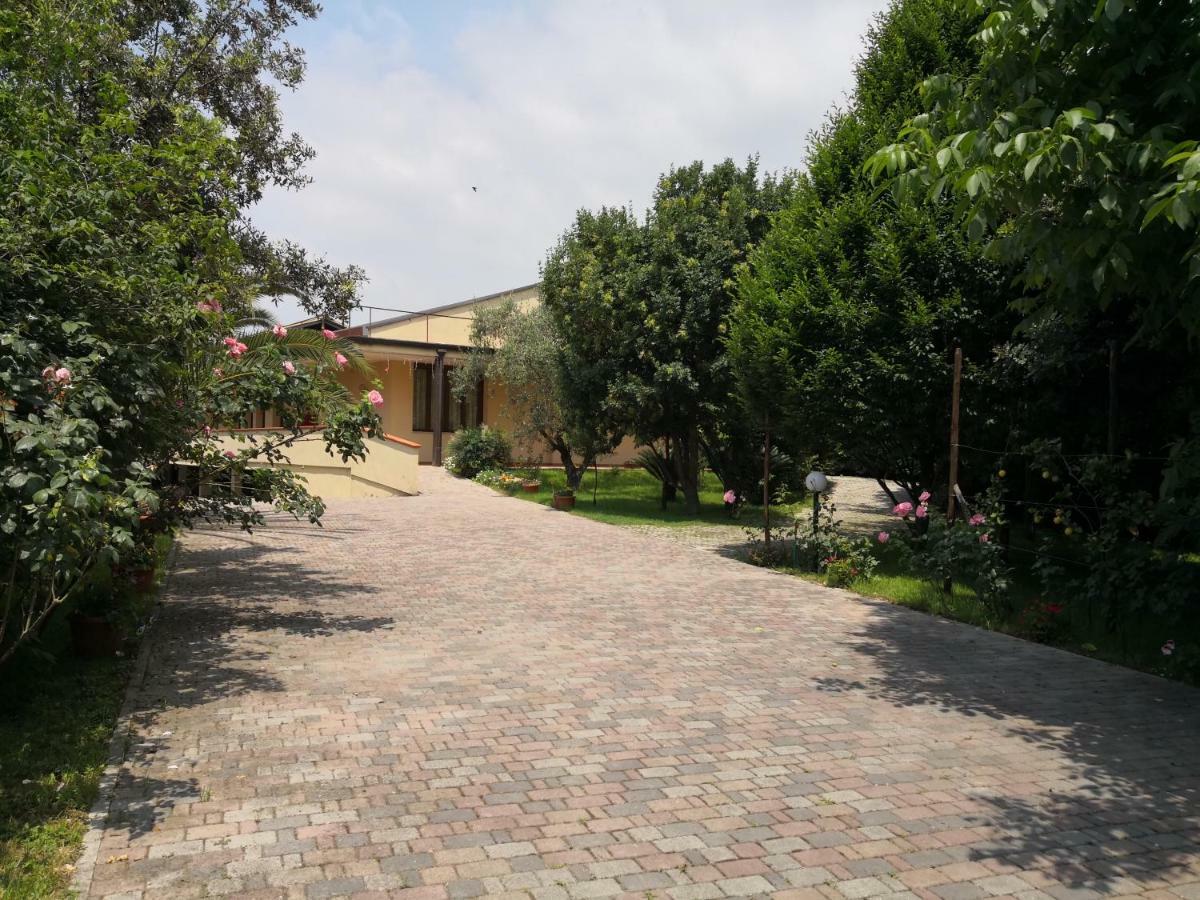 B&B D'Avino Пагани Экстерьер фото
